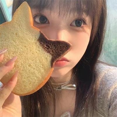 家春秋
